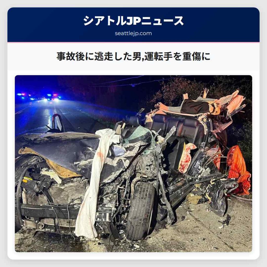 事故後に逃走した男,運転手を重傷に