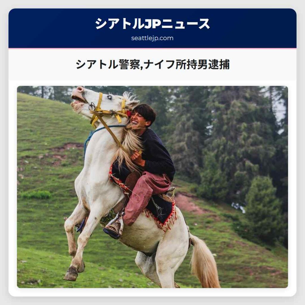 シアトル警察,ナイフ所持男逮捕