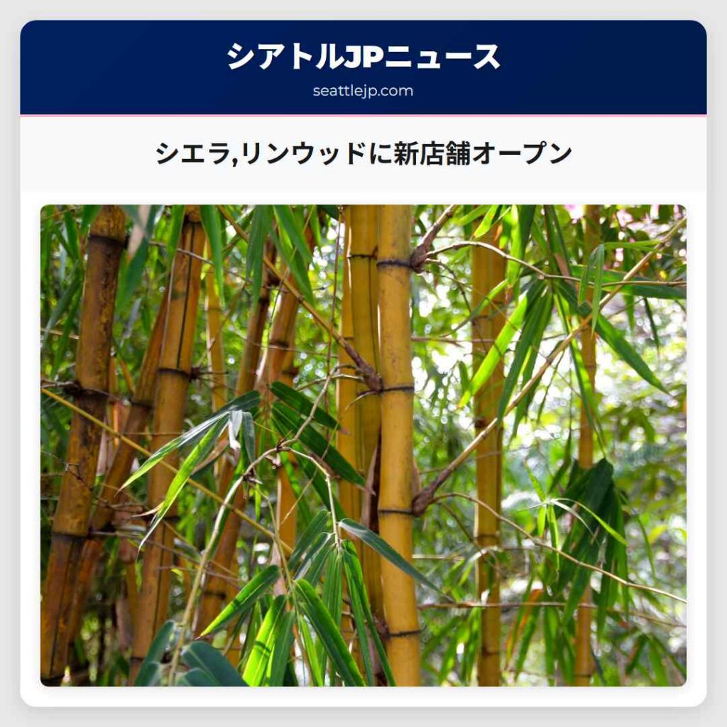 シエラ,リンウッドに新店舗オープン