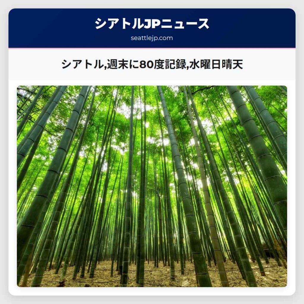 シアトル,週末に80度記録,水曜日晴天