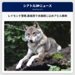 レドモンド警察暴風雨で水路閉じ込めアヒル救助