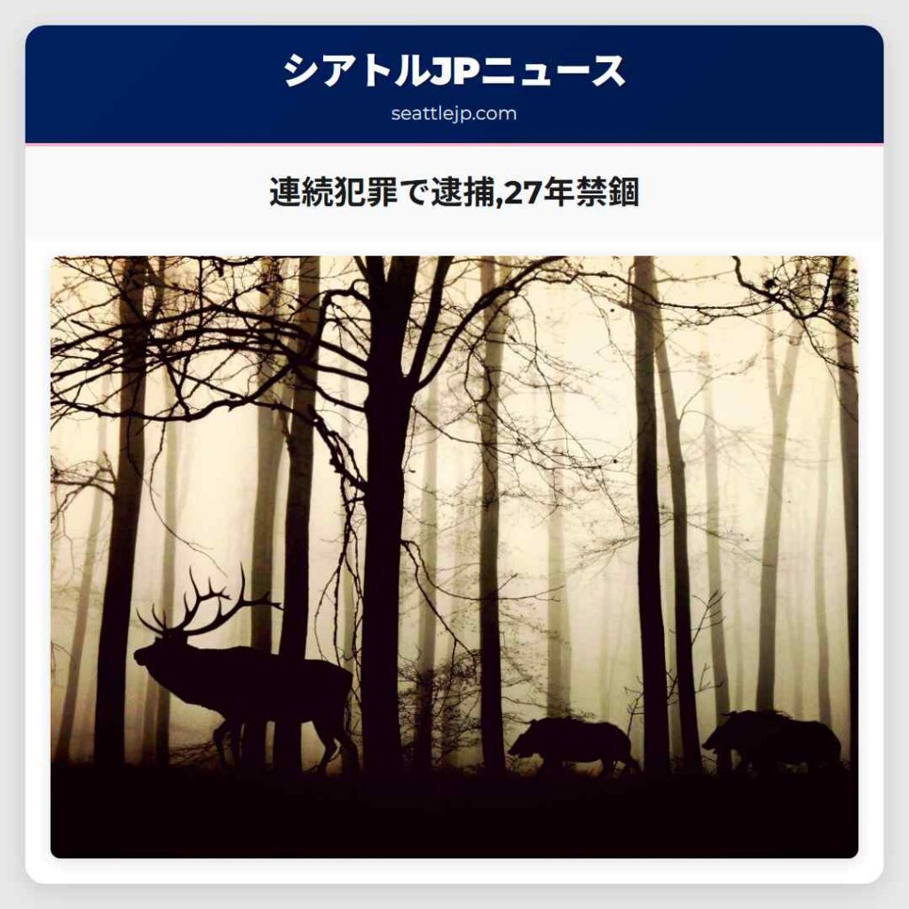 連続犯罪で逮捕,27年禁錮