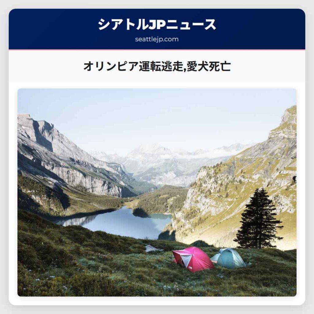 オリンピア運転逃走,愛犬死亡