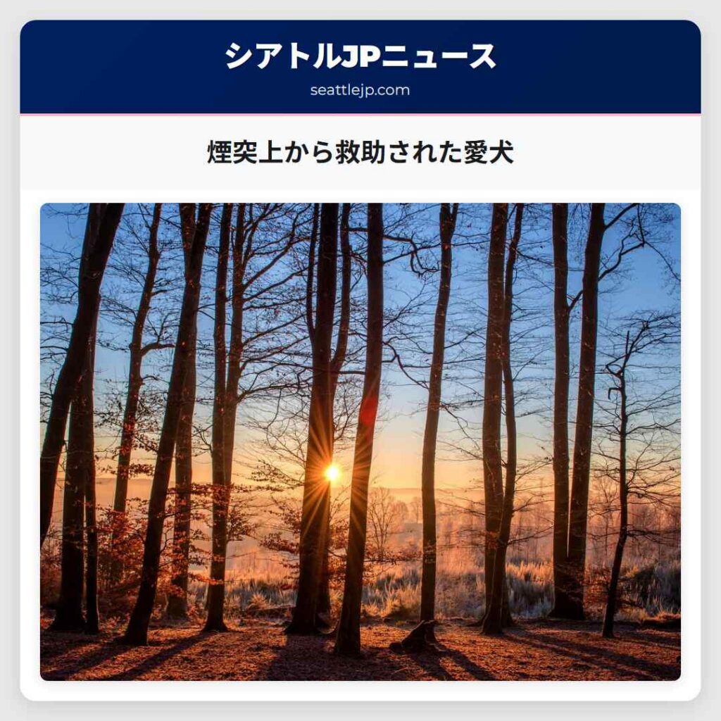 煙突上から救助された愛犬