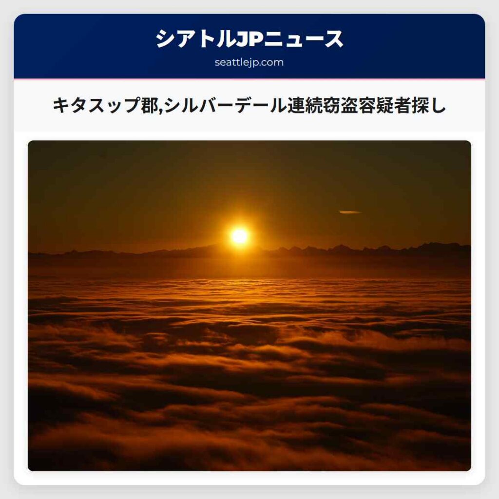 キタスップ郡,シルバーデール連続窃盗容疑者探し