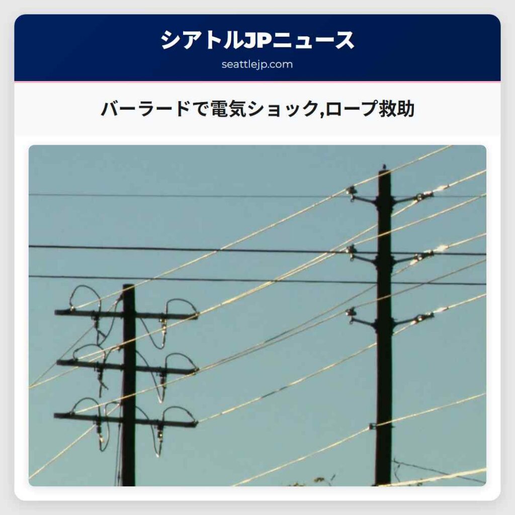 バーラードで電気ショック,ロープ救助