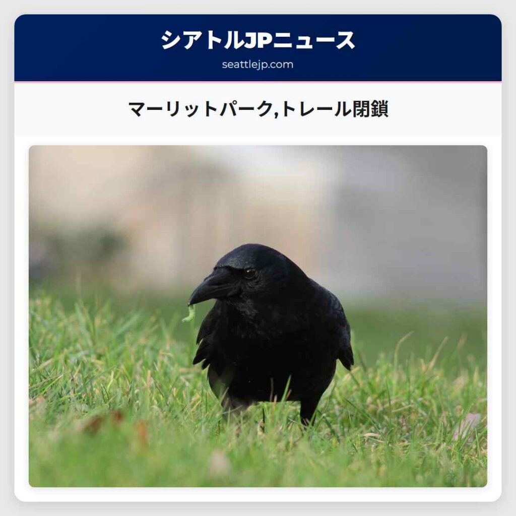 マーリットパーク,トレール閉鎖