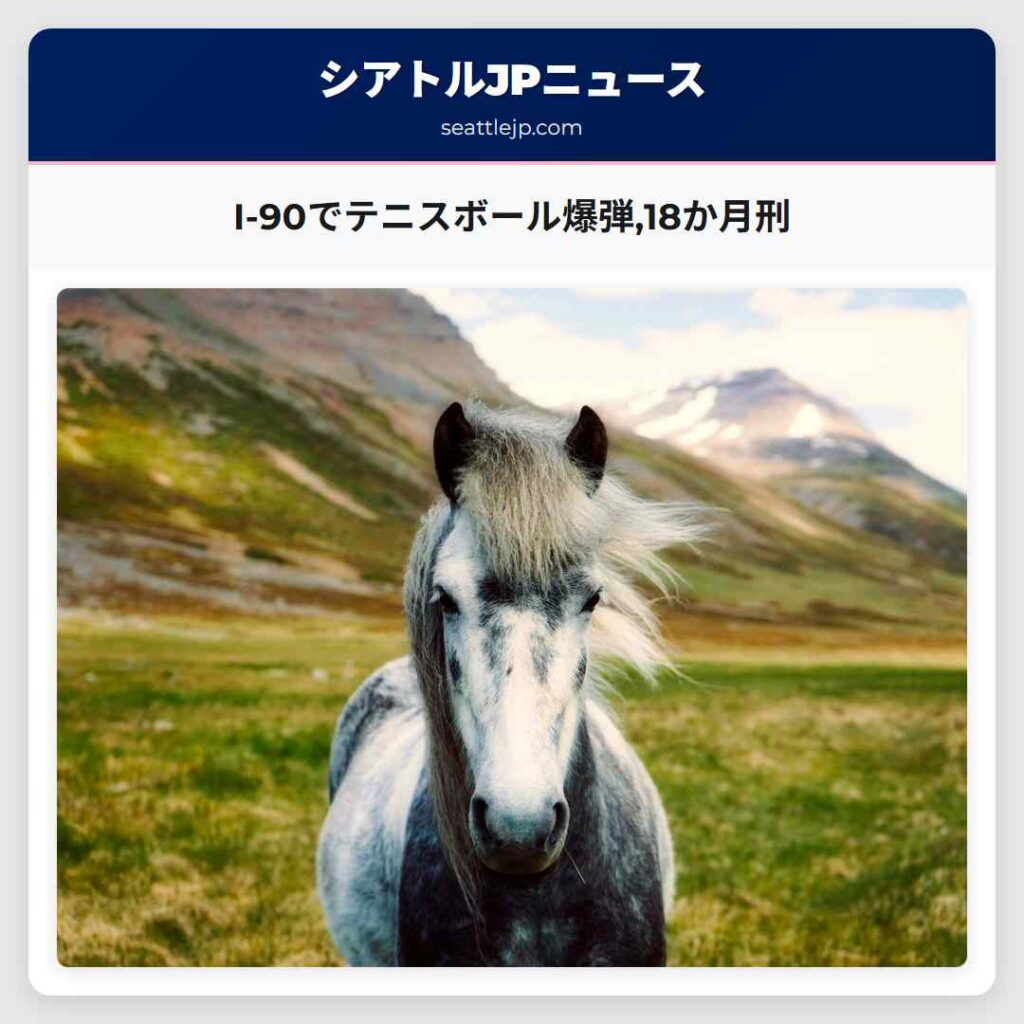 I-90でテニスボール爆弾,18か月刑