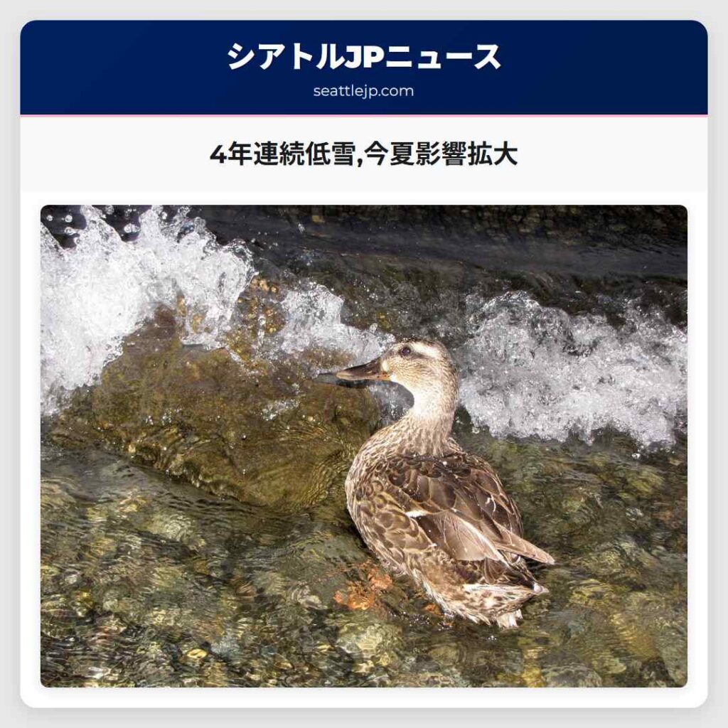 4年連続低雪,今夏影響拡大