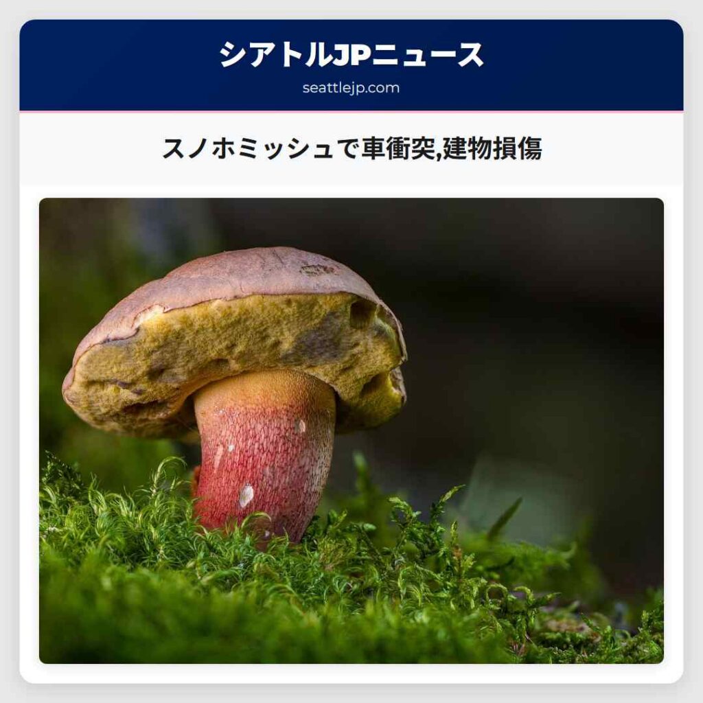 スノホミッシュで車衝突,建物損傷