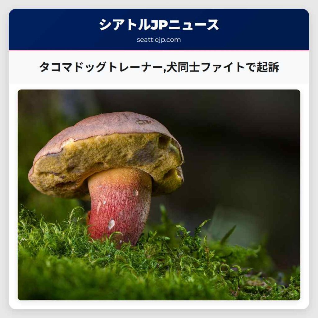 タコマドッグトレーナー,犬同士ファイトで起訴