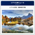 シアトル天気：週末晴天予報