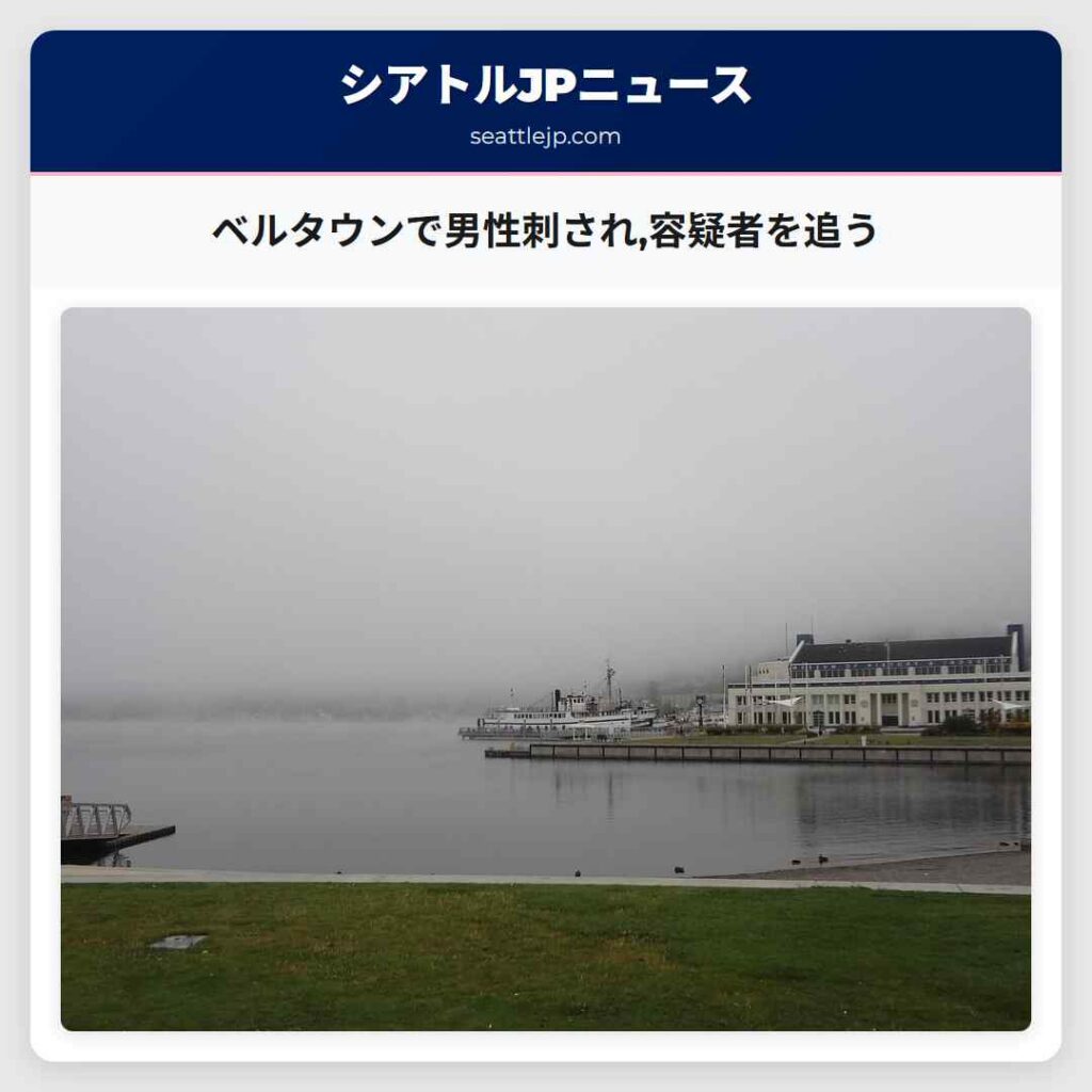 ベルタウンで男性刺され,容疑者を追う
