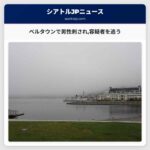 ベルタウンで男性刺され容疑者を追う