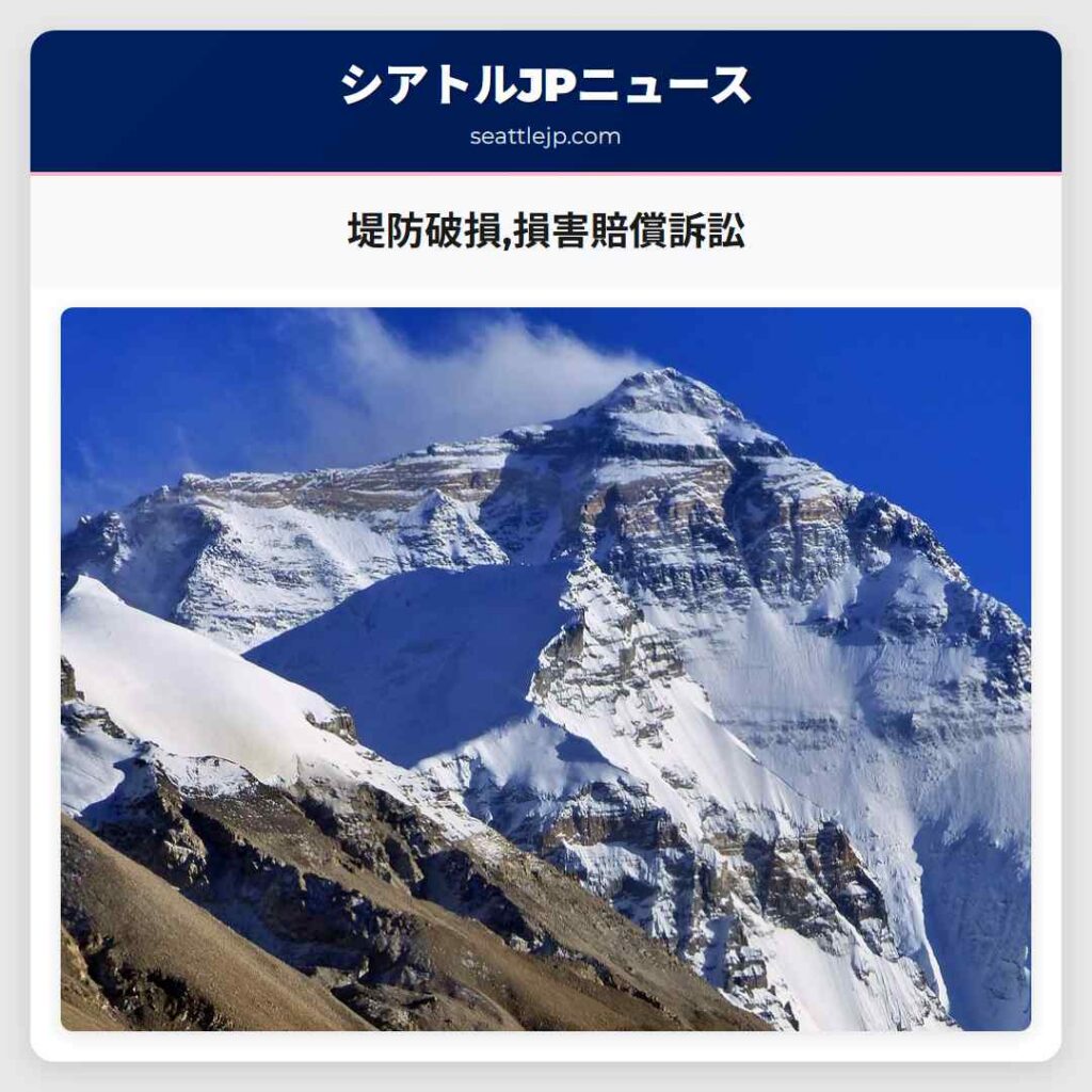 堤防破損,損害賠償訴訟