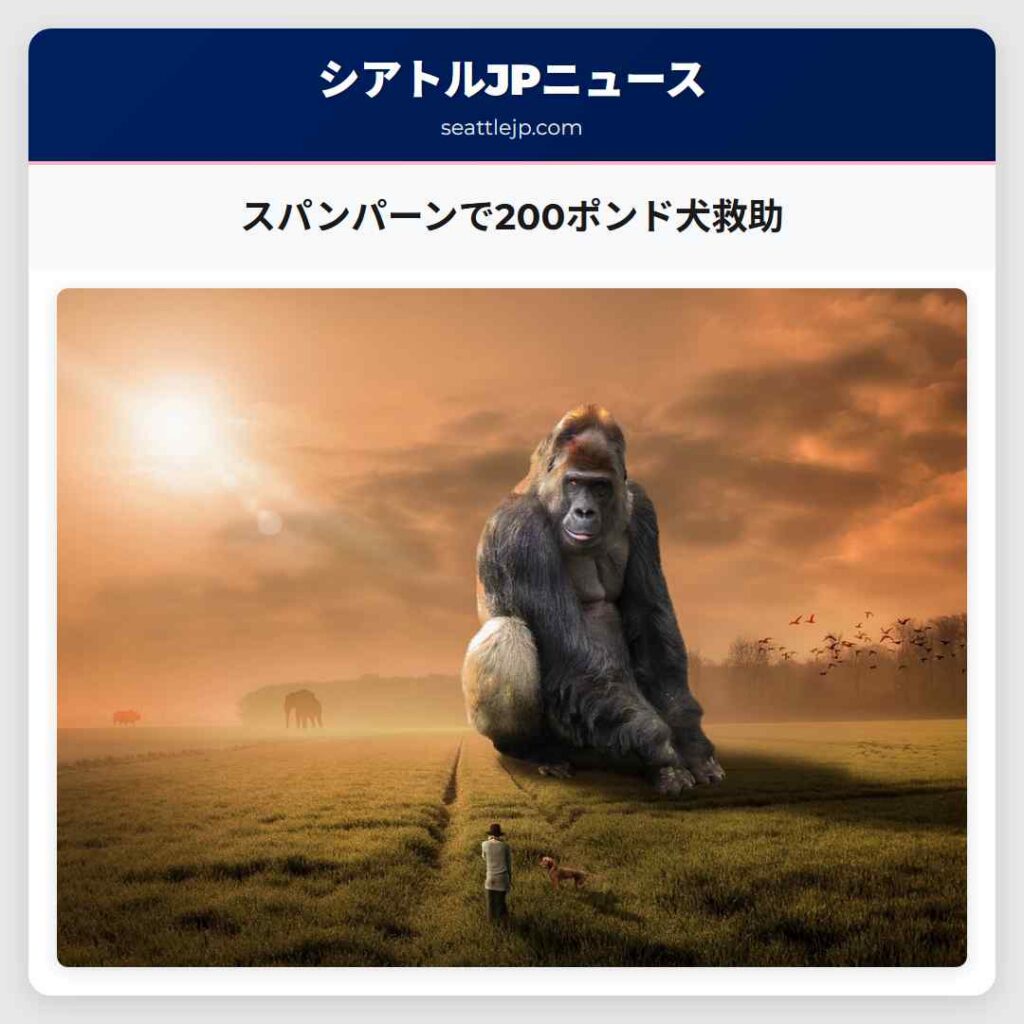 スパンパーンで200ポンド犬救助