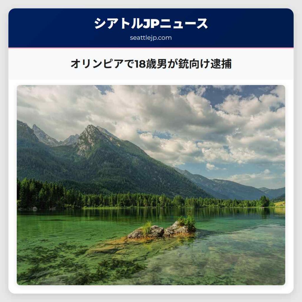 オリンピアで18歳男が銃向け逮捕