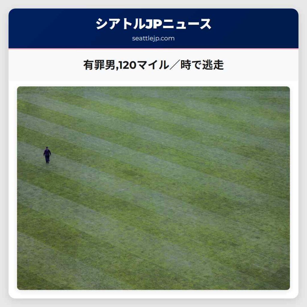 有罪男,120マイル／時で逃走