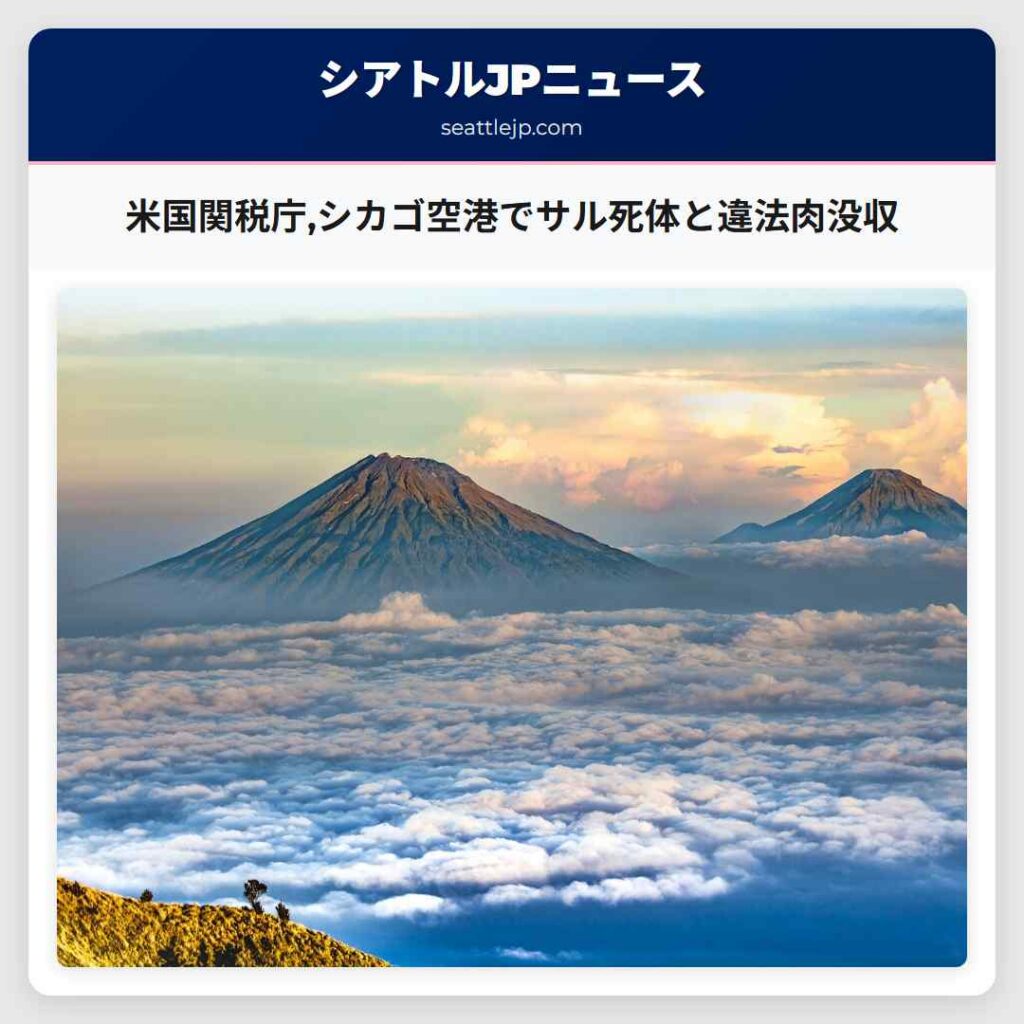 米国関税庁,シカゴ空港でサル死体と違法肉没収
