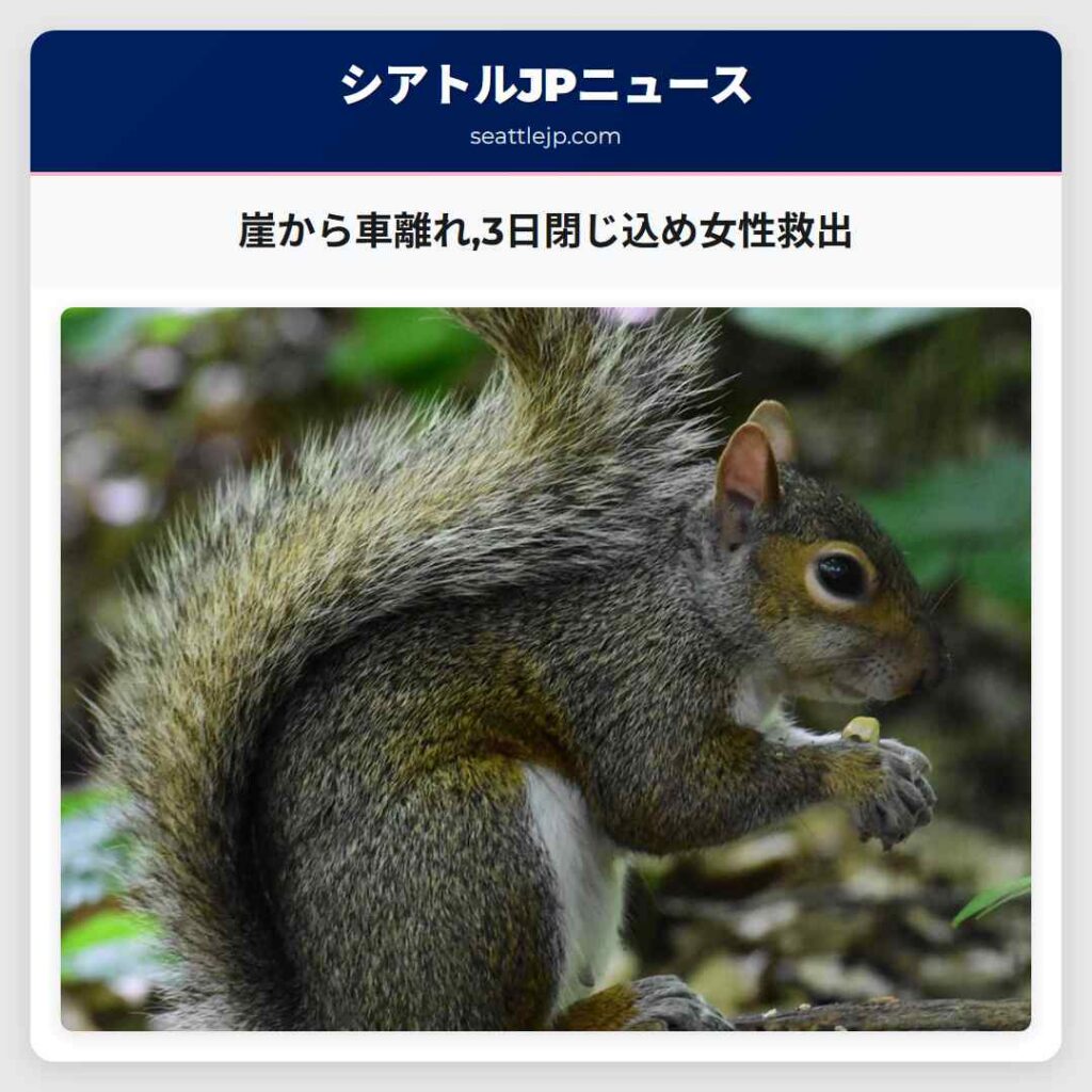 崖から車離れ,3日閉じ込め女性救出