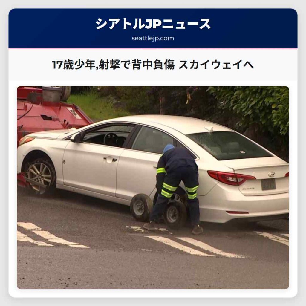 17歳少年,射撃で背中負傷 スカイウェイへ