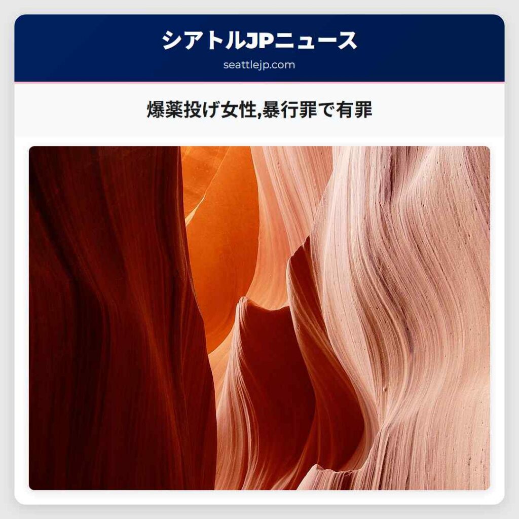 爆薬投げ女性,暴行罪で有罪