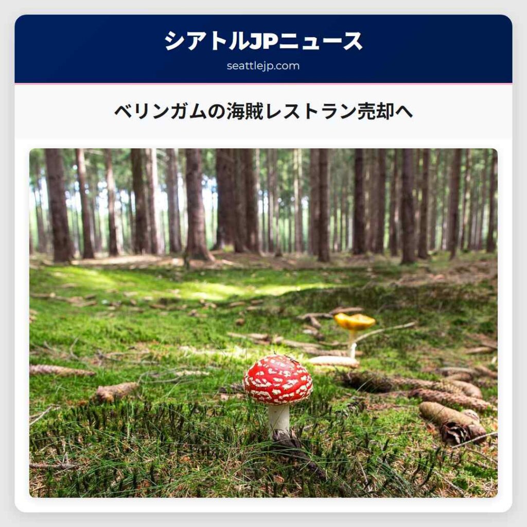 ベリンガムの海賊レストラン売却へ