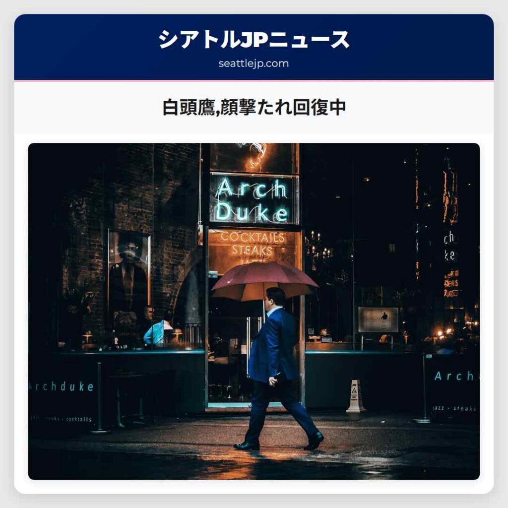 白頭鷹,顔撃たれ回復中