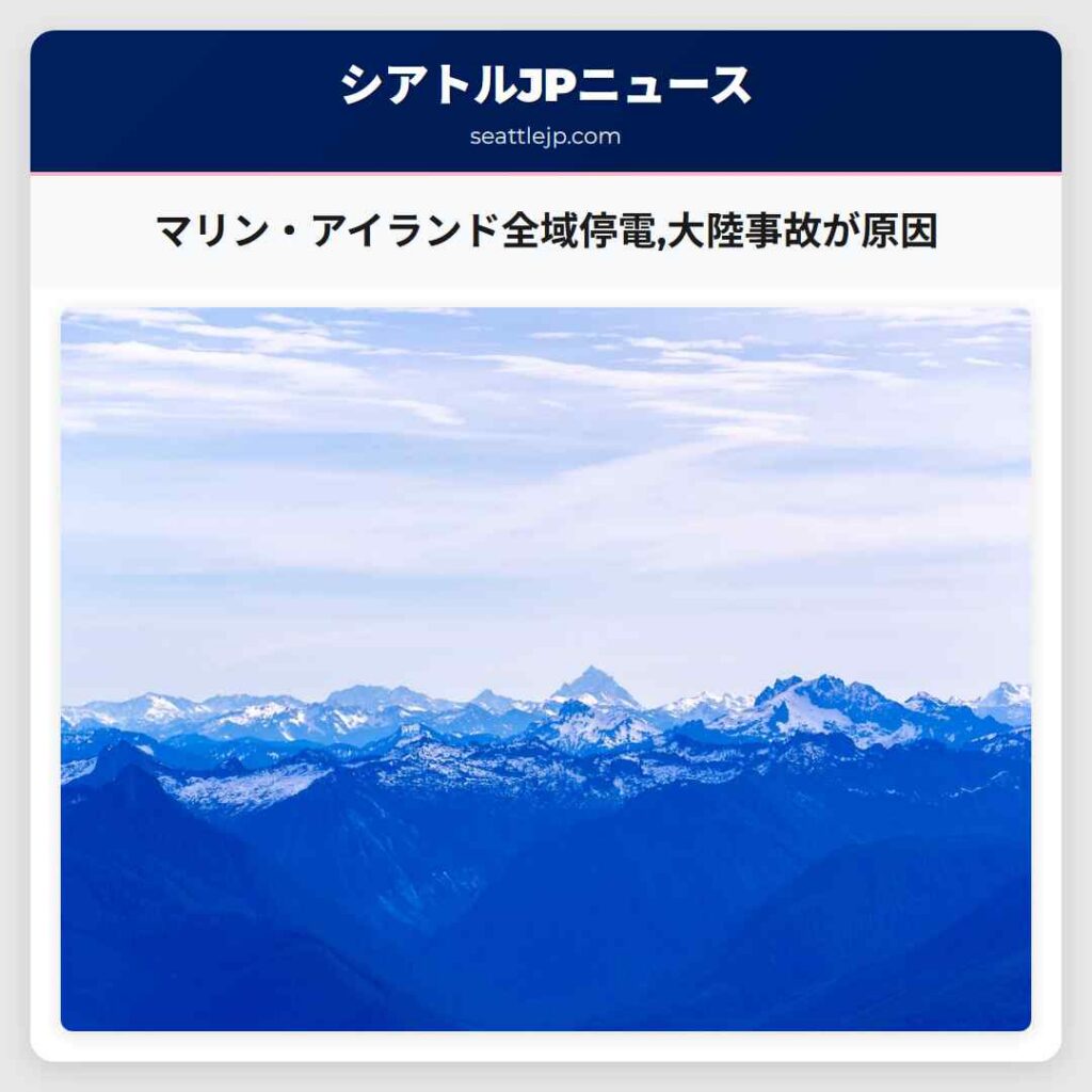 マリン・アイランド全域停電,大陸事故が原因