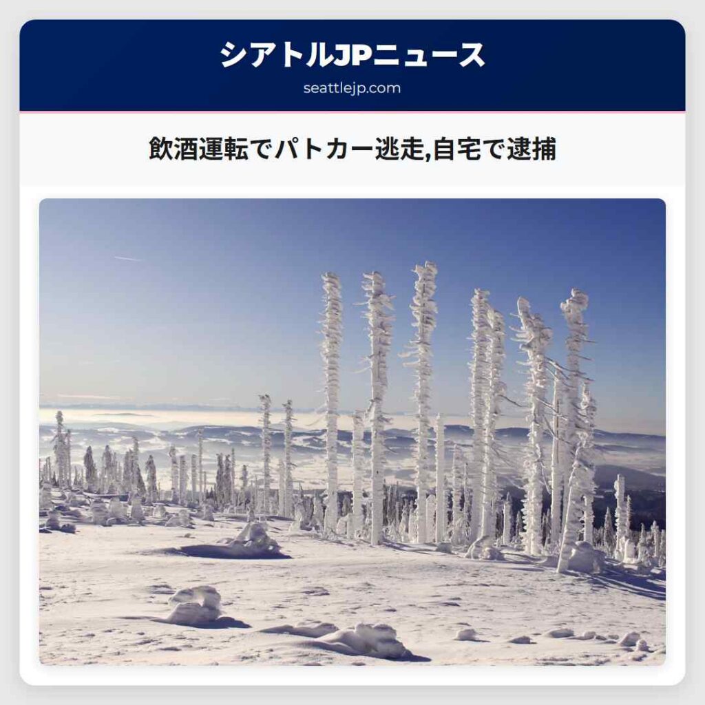 飲酒運転でパトカー逃走,自宅で逮捕