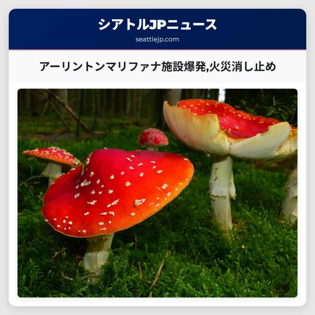 アーリントンマリファナ施設爆発,火災消し止め