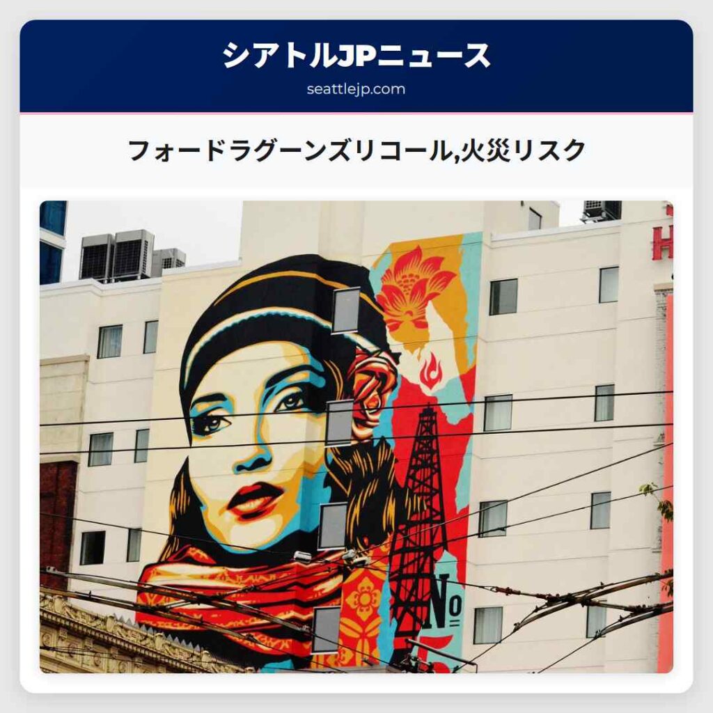 フォードラグーンズリコール,火災リスク