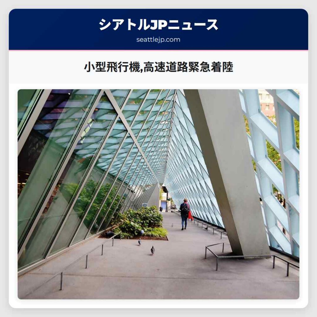 小型飛行機,高速道路緊急着陸