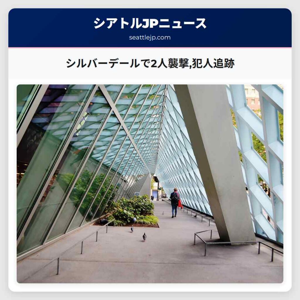 シルバーデールで2人襲撃,犯人追跡