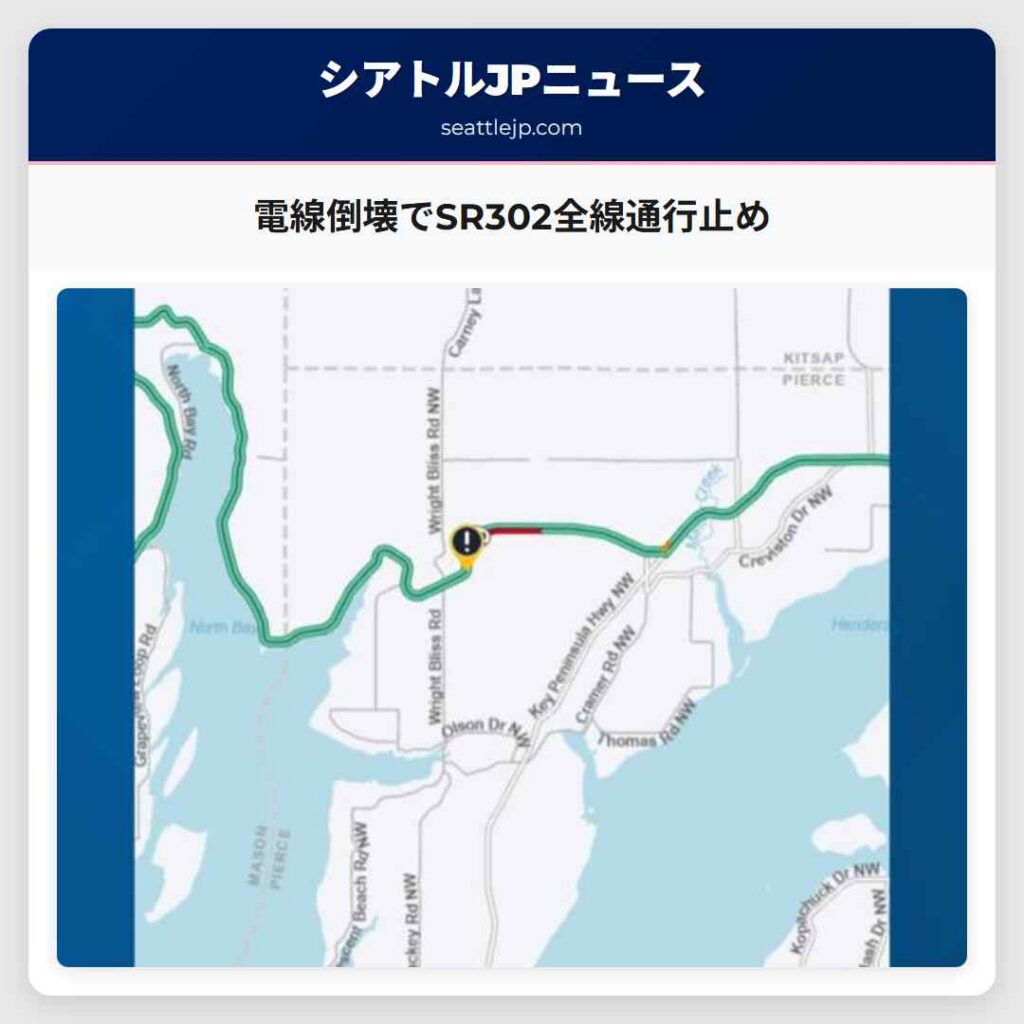 電線倒壊でSR302全線通行止め
