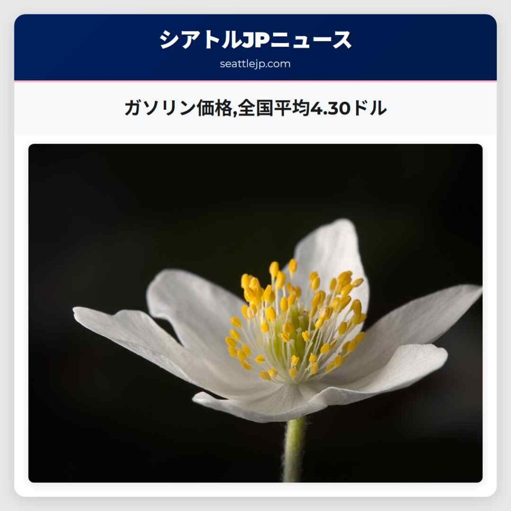 ガソリン価格,全国平均4.30ドル