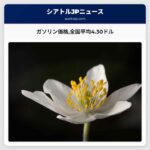 ガソリン価格全国平均4.30ドル