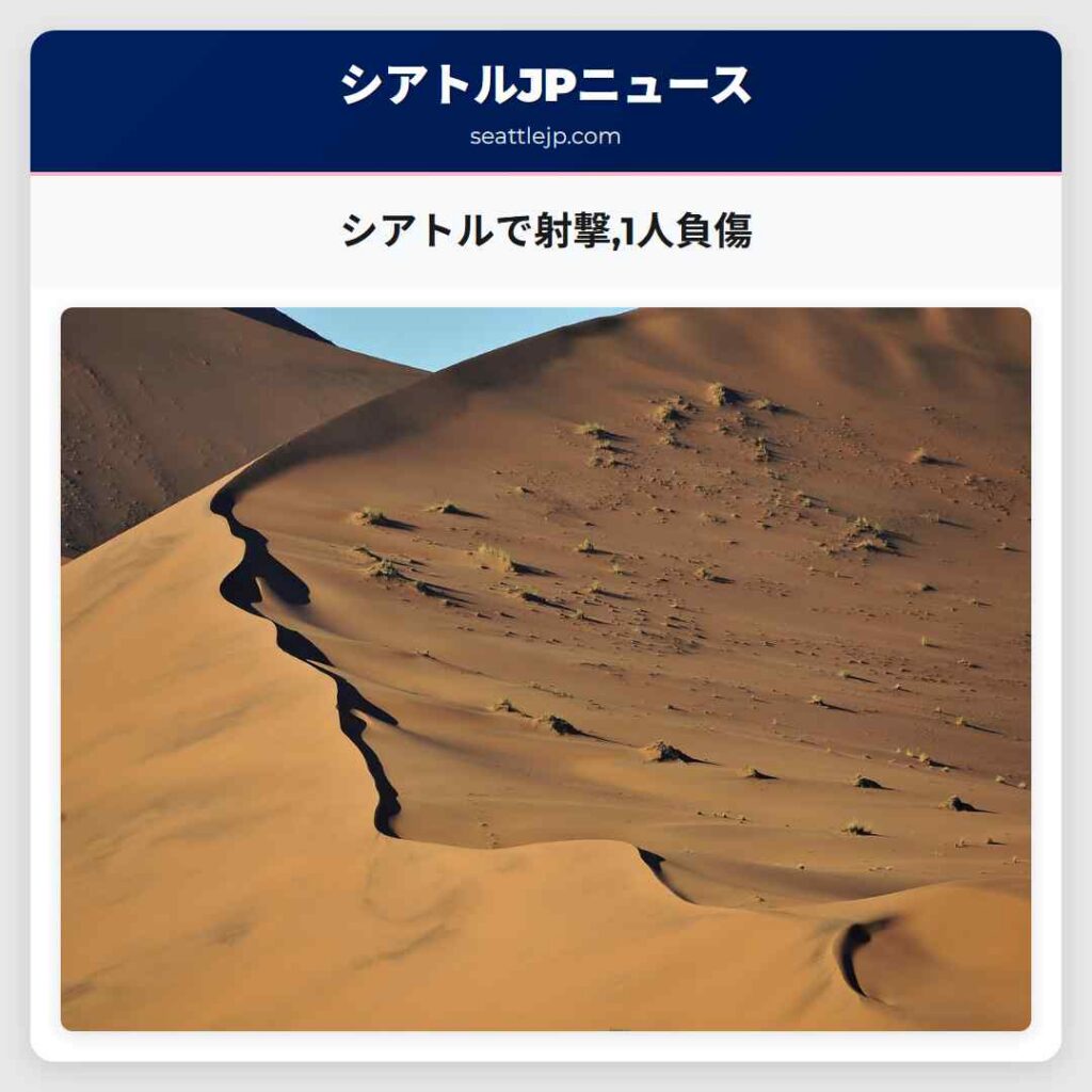 シアトルで射撃,1人負傷