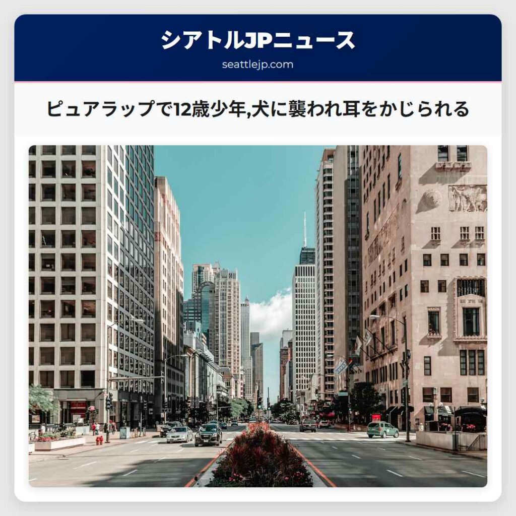 ピュアラップで12歳少年,犬に襲われ耳をかじられる