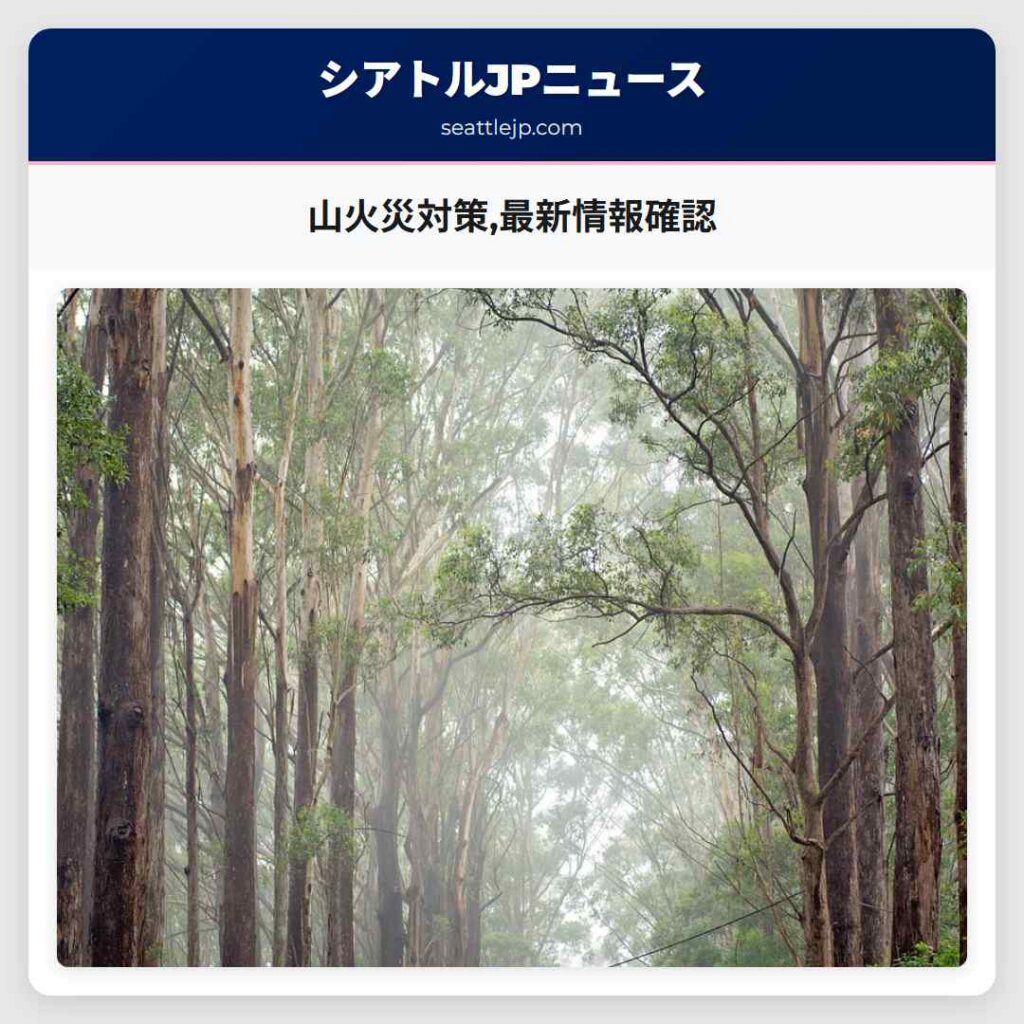 山火災対策,最新情報確認
