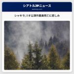 シャキラリオ公演作業員死亡に悲しみ