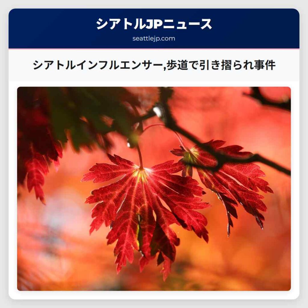シアトルインフルエンサー,歩道で引き摺られ事件