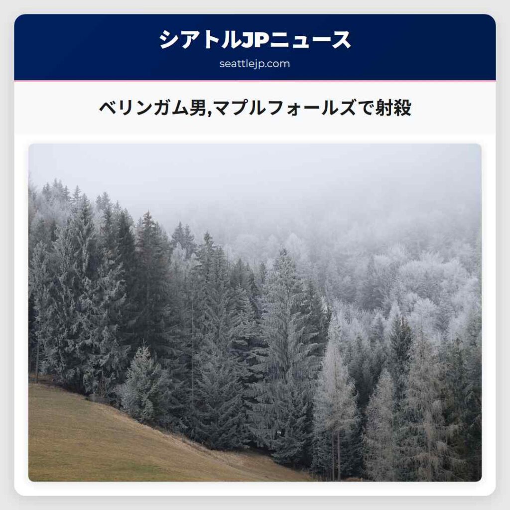 ベリンガム男,マプルフォールズで射殺