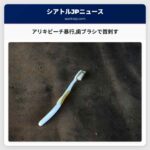 アリキビーチ周辺で異例の暴行事件女性が歯ブラシで男性の首を刺す