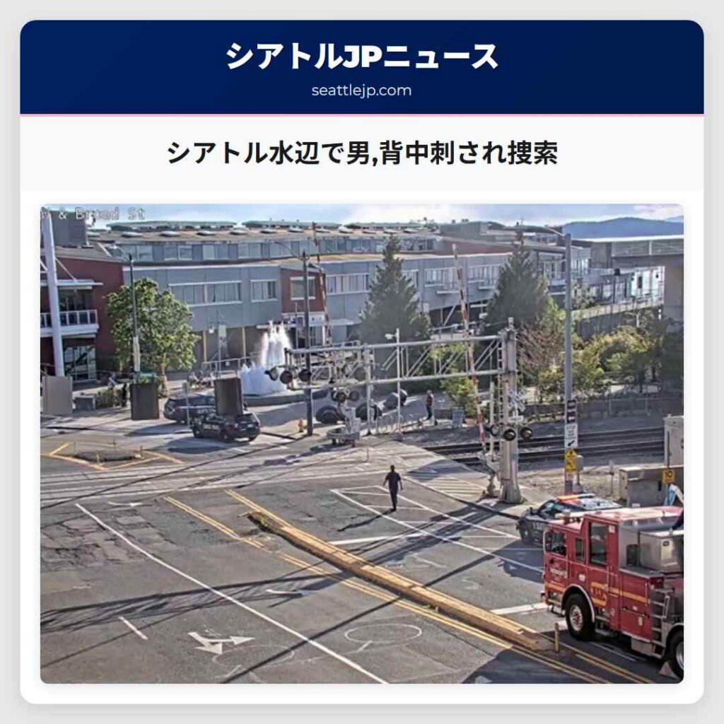 シアトル水辺で男,背中刺され捜索