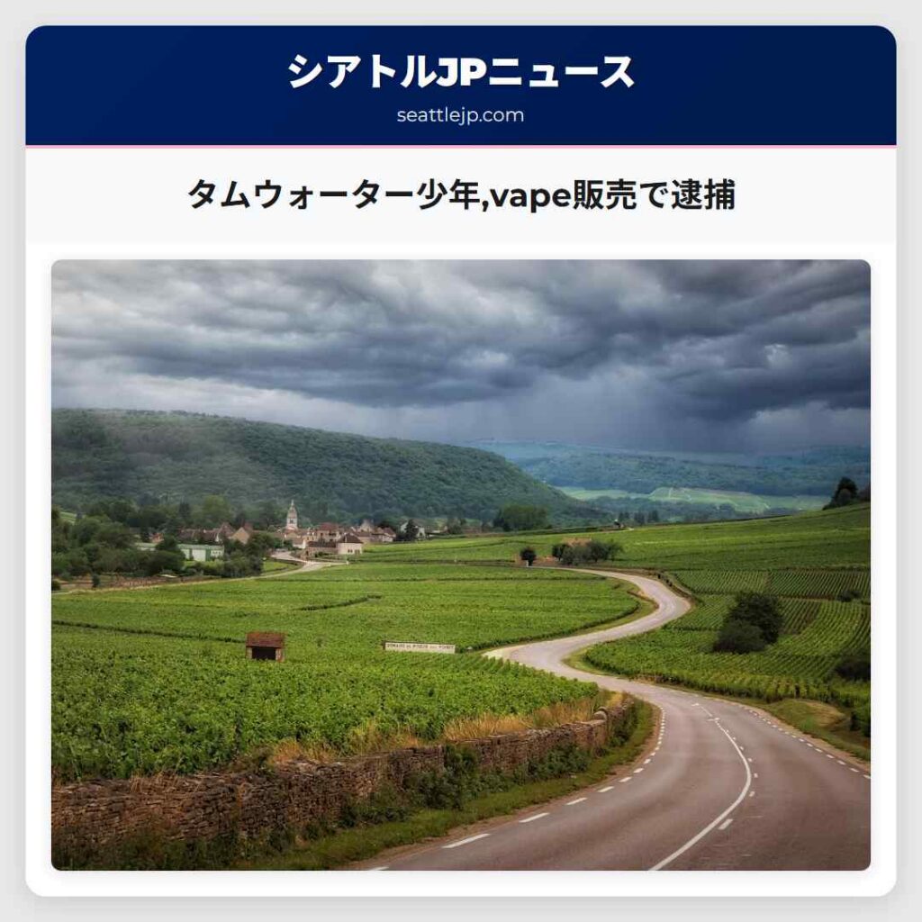 タムウォーター少年,vape販売で逮捕