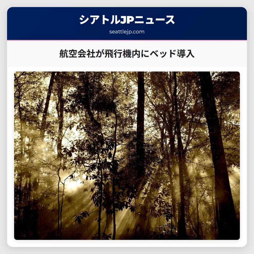 航空会社が飛行機内にベッド導入