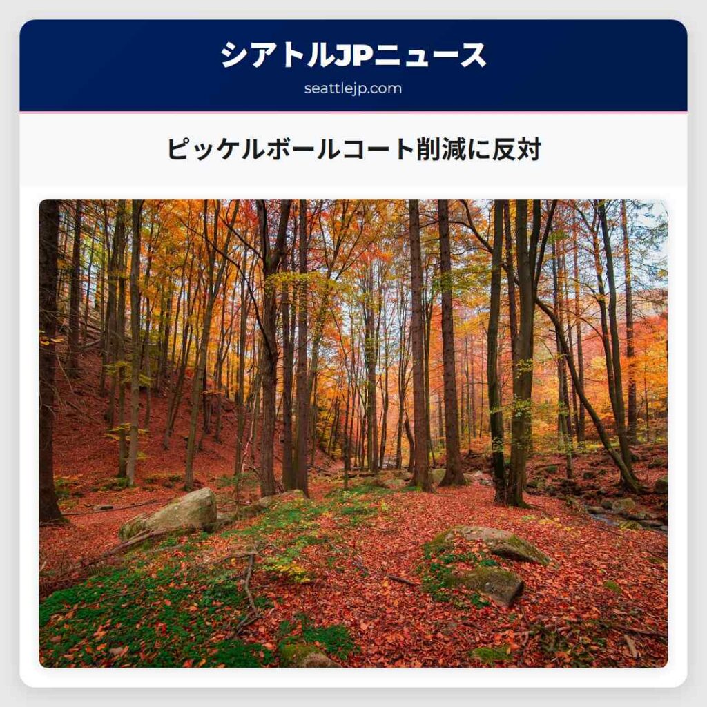 ピッケルボールコート削減に反対