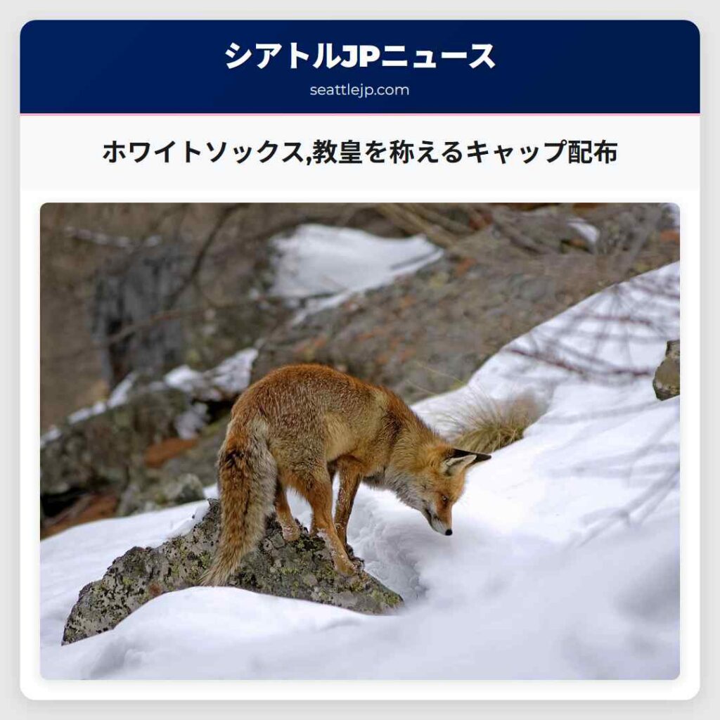 ホワイトソックス,教皇を称えるキャップ配布