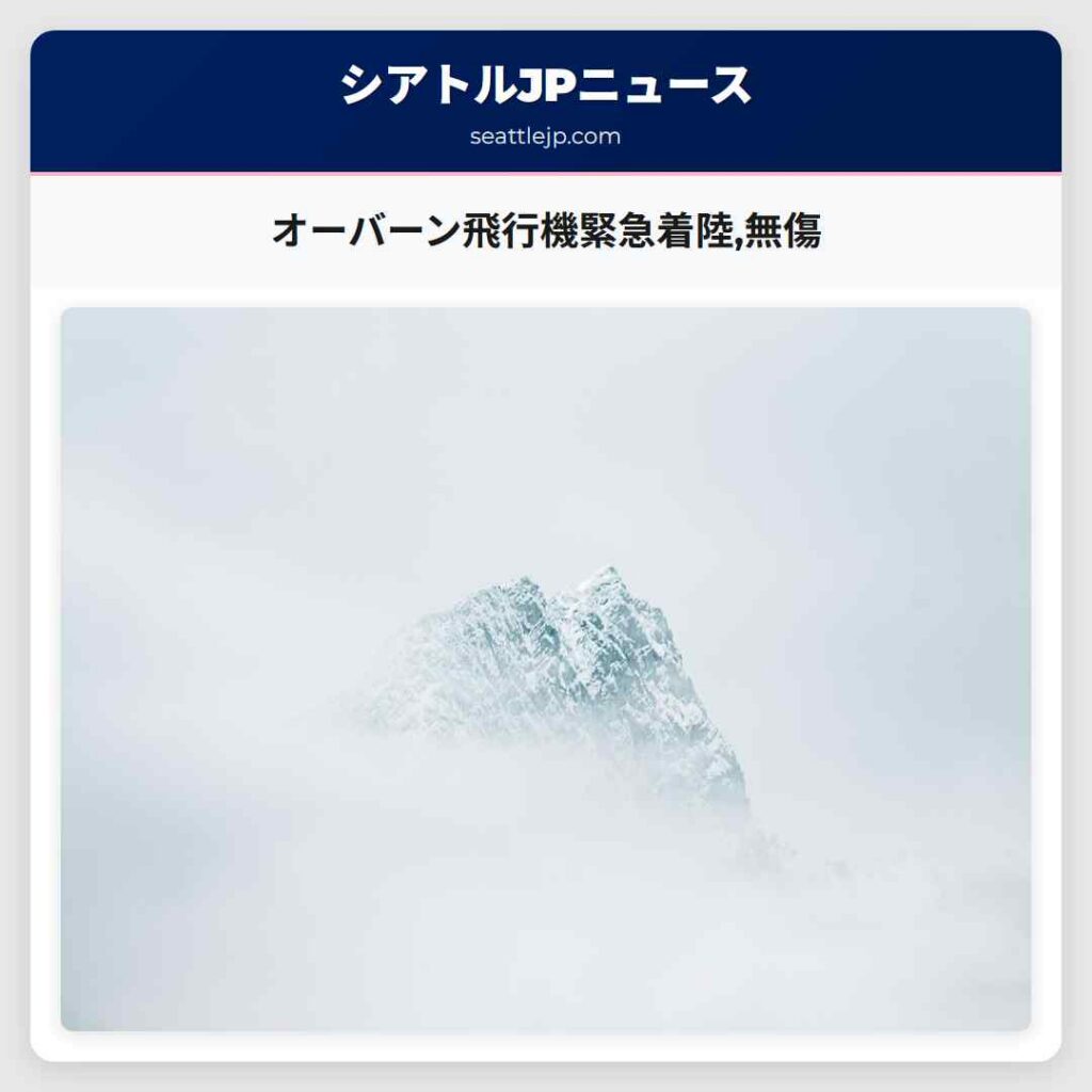 オーバーン飛行機緊急着陸,無傷